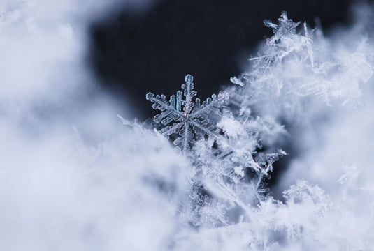 THE BLAST FREEZE