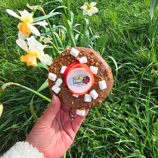S'MORE DOUGHNUTS, PLEASE!