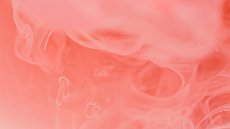 NOTTINGHAM PLAYHOUSE