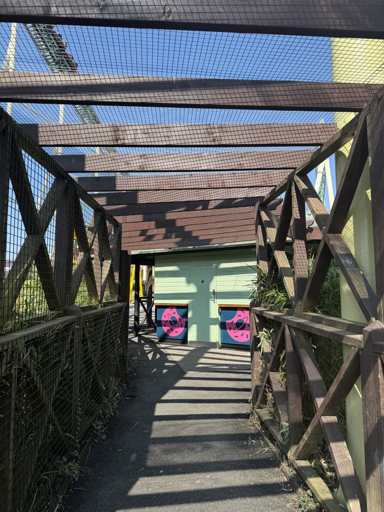 THE SUMMER OF THEME PARKS